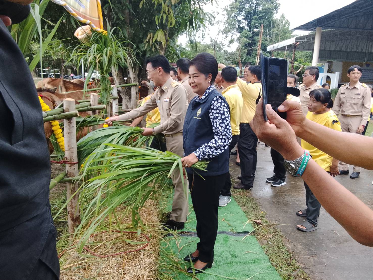 title - ส.ป.ก.ยโสธร ร่วมเป็นเกียรติในพิธีมอบโคและสัญญายืมเพื่อการผลิต  โครงการธนาคารโค-กระบือ เพื่อเกษตรกร พระราชดำริ